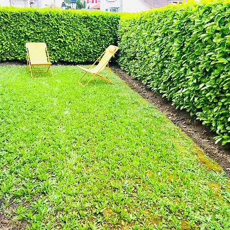 Appartement Standing Avec Jardin, 4 Personnes, Strategiquement Situe *